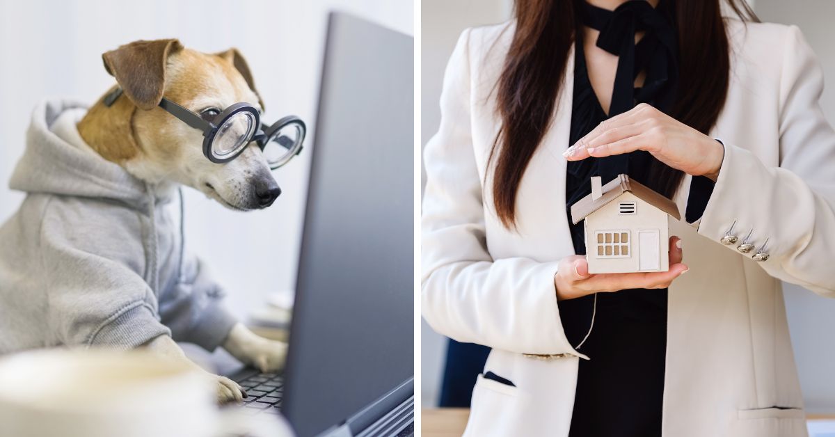 Pet Screening Is a Must! Atlanta Property Management Tips